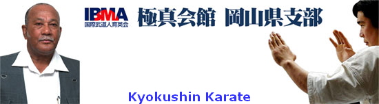 Kyokushin Karate