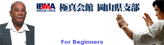 For Beginners