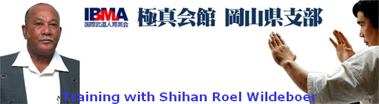 Training with Shihan Roel Wildeboer